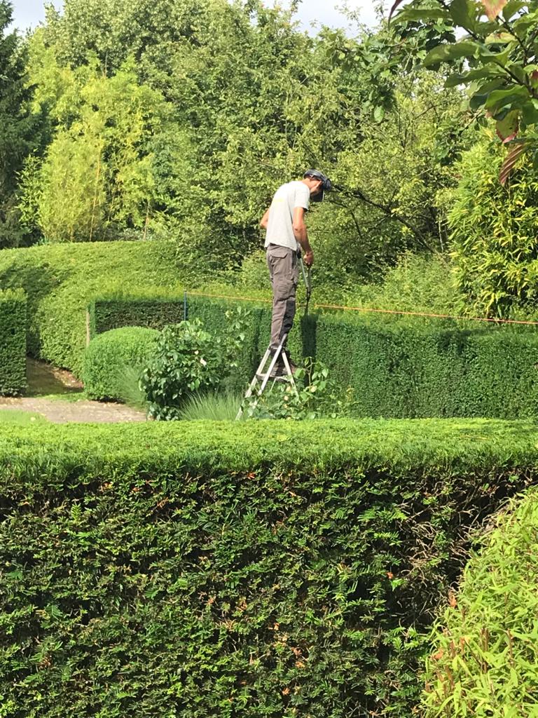 Entretien des espaces verts pour les particuliers