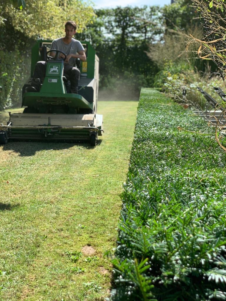 Entretien des espaces verts 